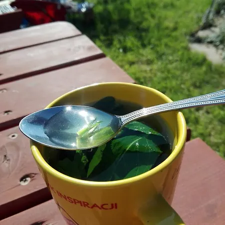 Domek Z Klimatem